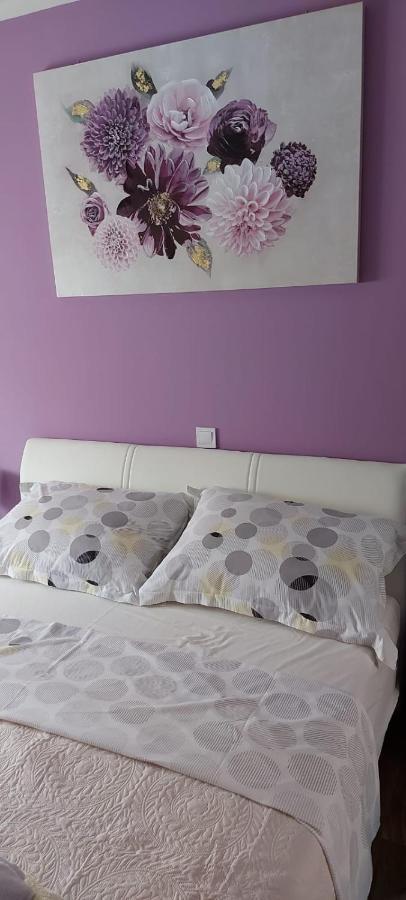 Apartman Katarina